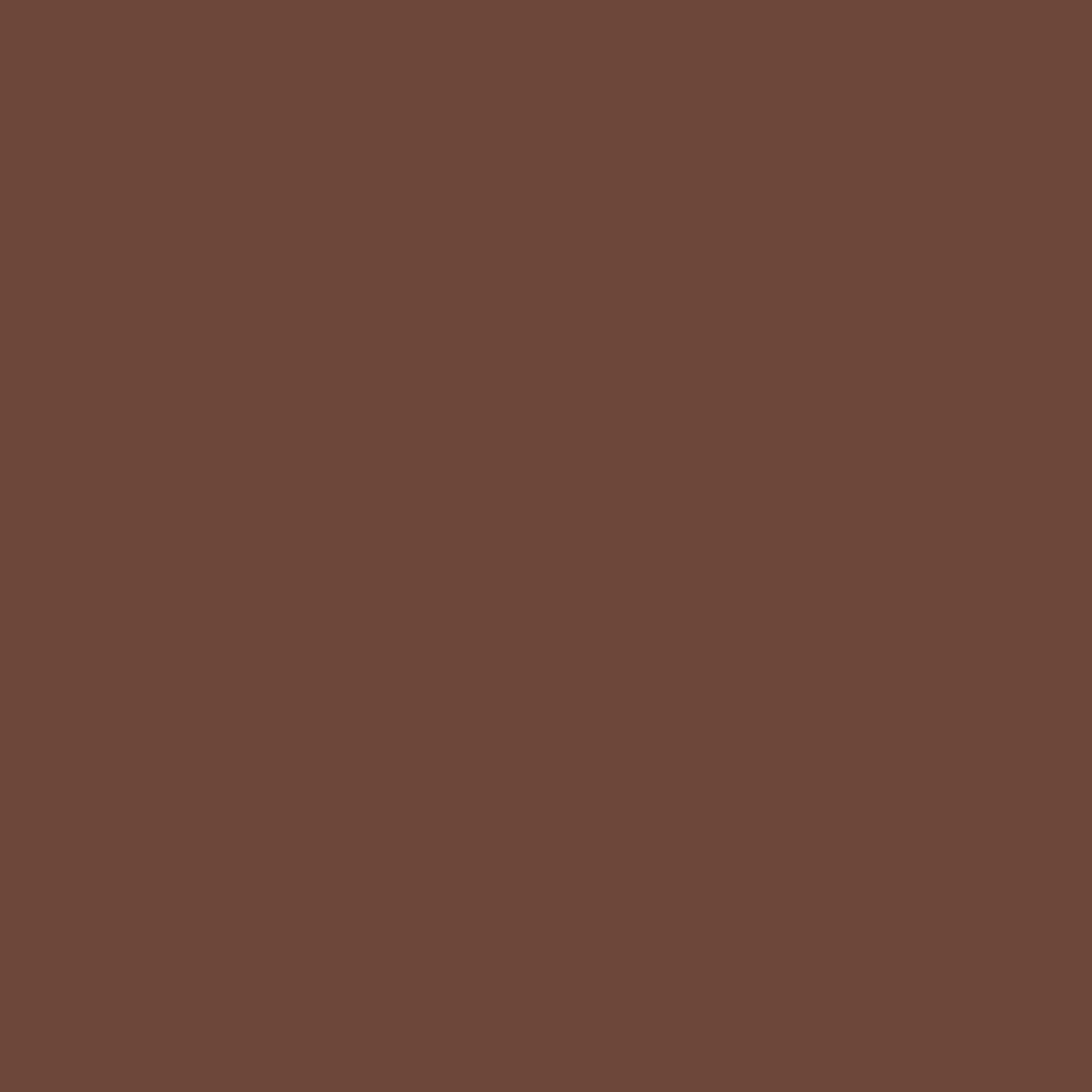 2102-10 Earth Brown - Paint Color – Devine Paint & Decorating