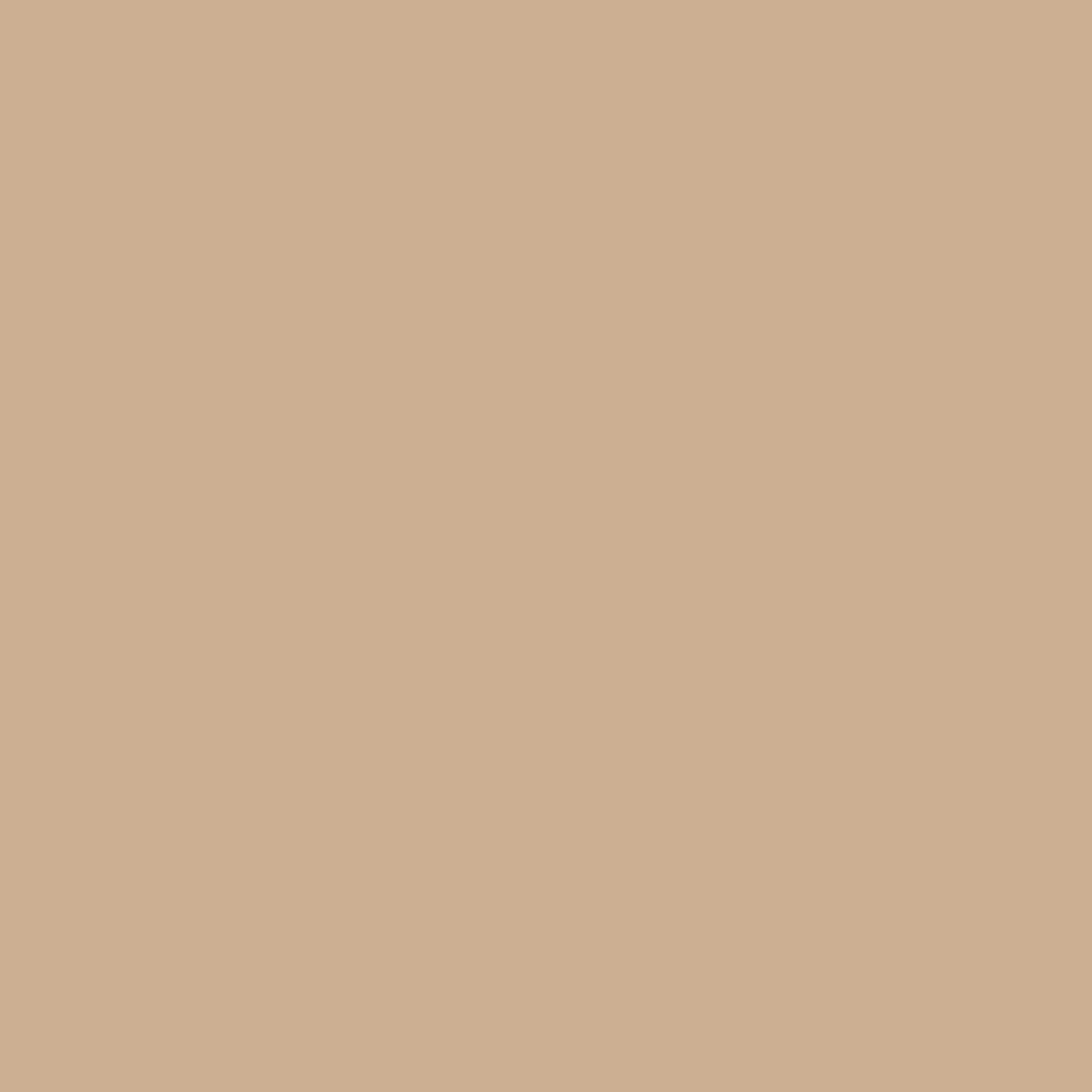 CW-190 Raleigh Tan - Paint Color – Devine Paint & Decorating