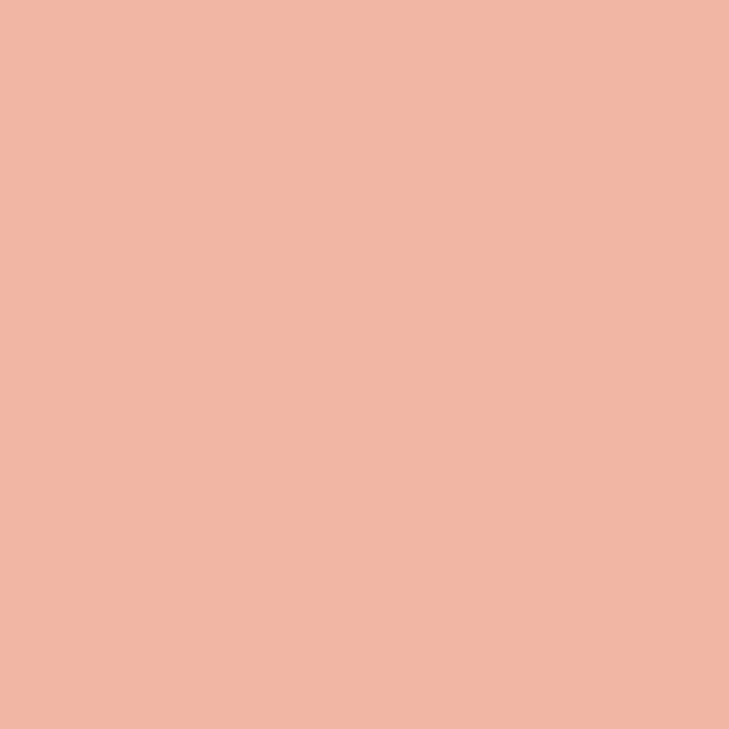 025 Vivid Peach - Paint Color | Devine Paint & Decorating
