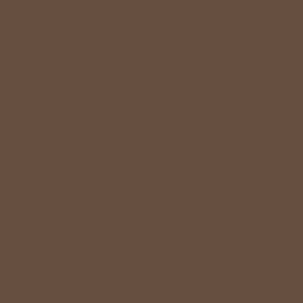 2107-20 Mocha Brown - Paint Color | Devine Paint & Decorating